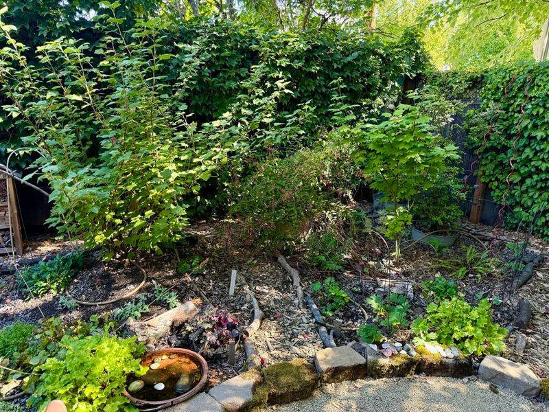 Strong Planting Techniques Speed Up Establishment