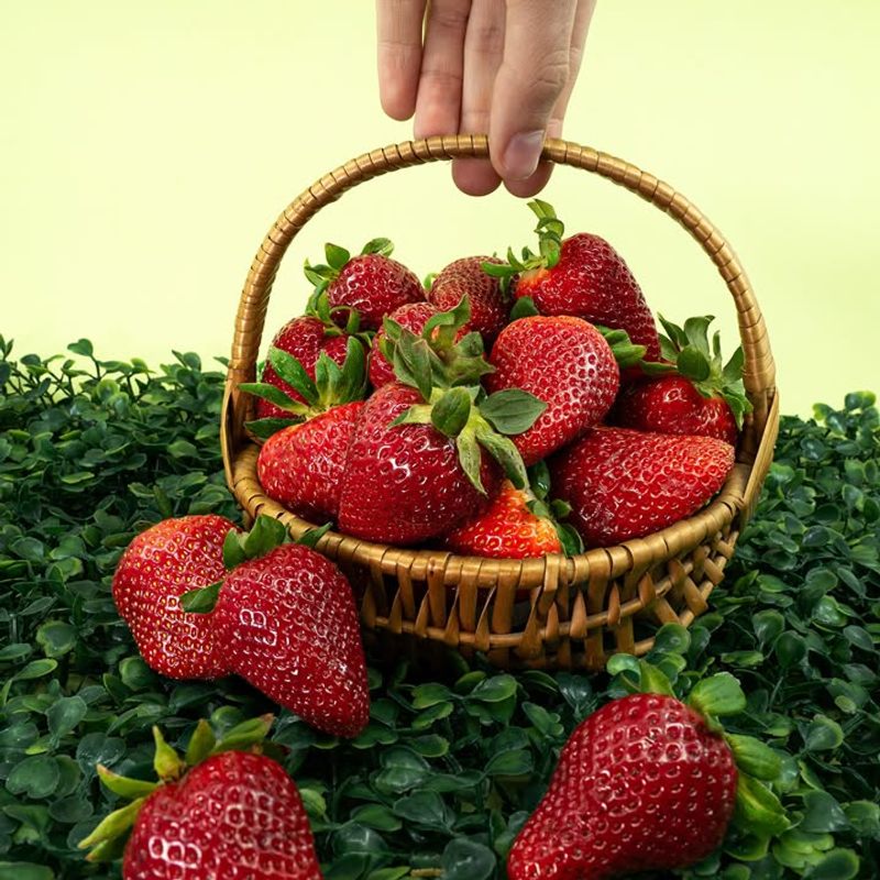 Harvest Often for More Fruit