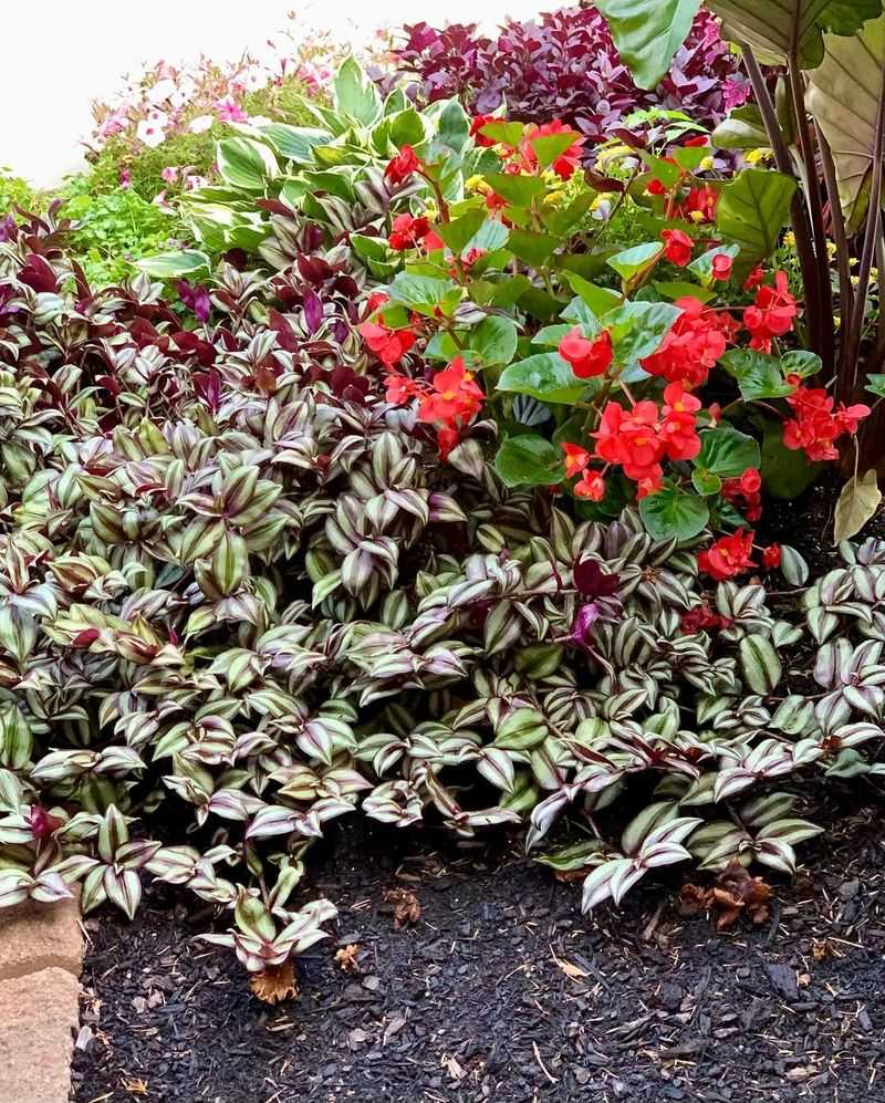 Use Fast-Draining Soil In Pots And Beds
