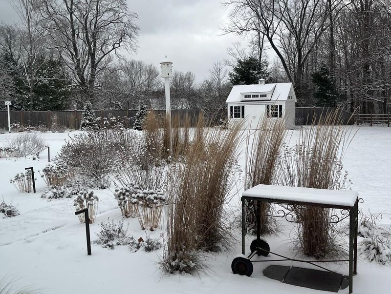 Observe Their Garden's Structure