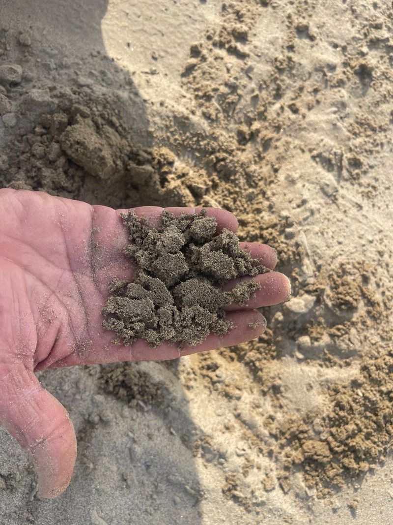 Improve Sandy Coastal Soil With Organic Matter