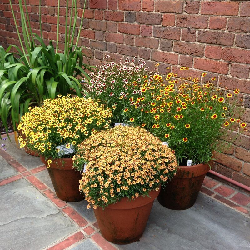 Move Containers Off Cold Surfaces