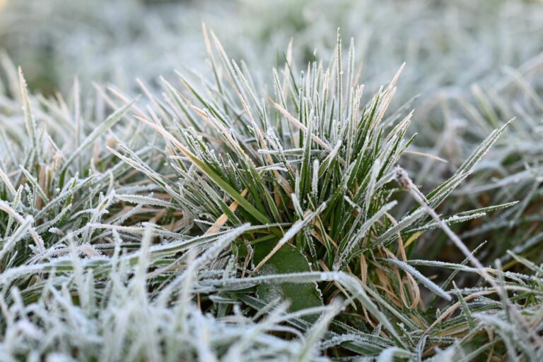 frost heaving