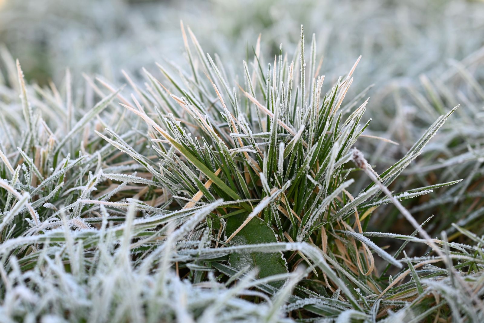 frost heaving