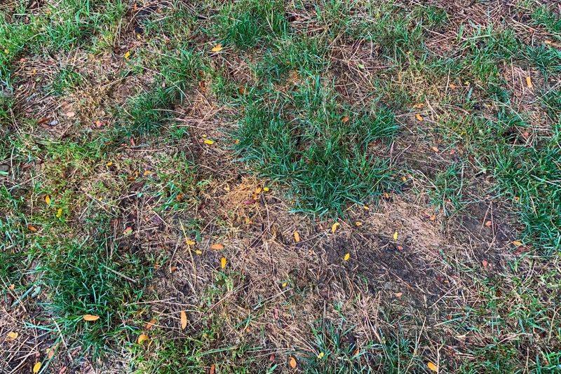 Avoid These Common Hiring Mistakes