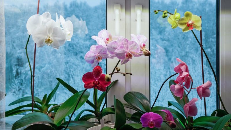 Maintain Proper Temperature Ranges Day And Night