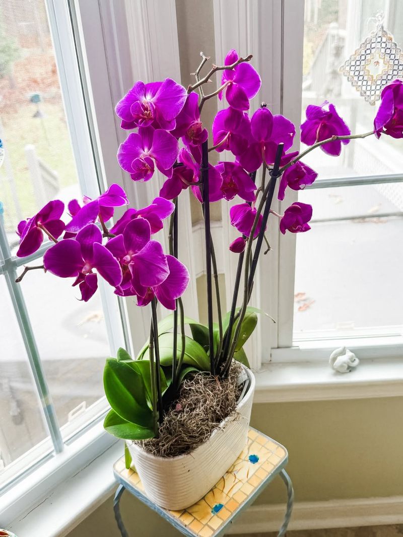 Maintain Moderate Indoor Temperatures