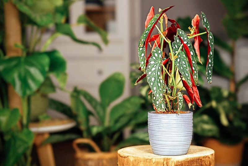 Maintain Stable Indoor Temperatures