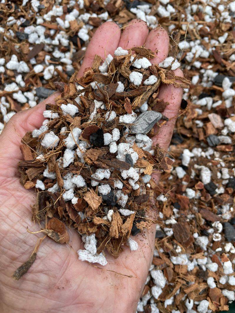 Use Well-Draining Soil