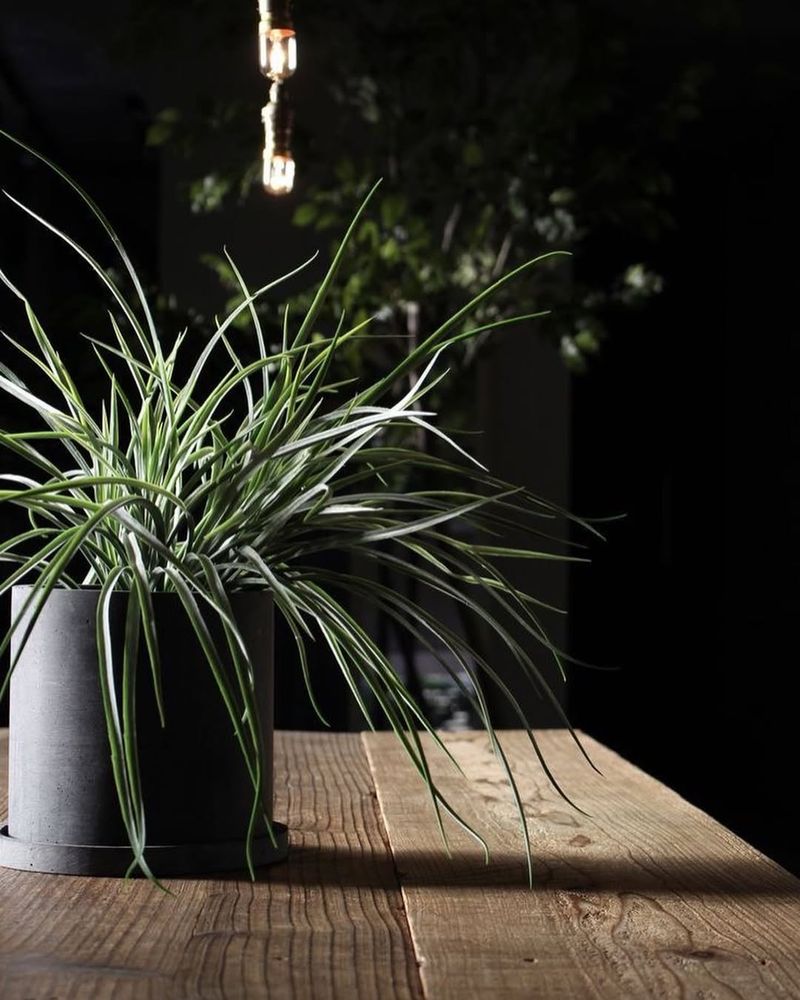 Avoid Direct Sunlight