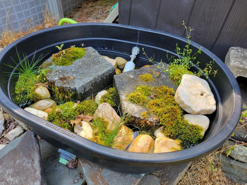 Add Water For Pollinators