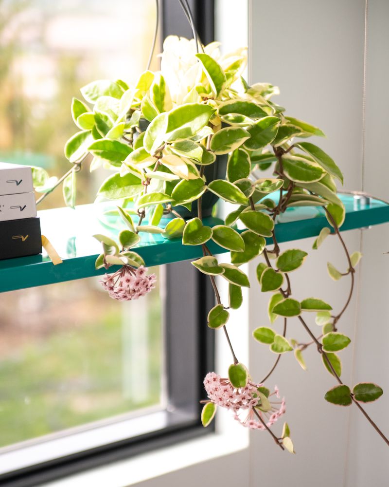 Feed With Balanced Nutrients During Active Growth