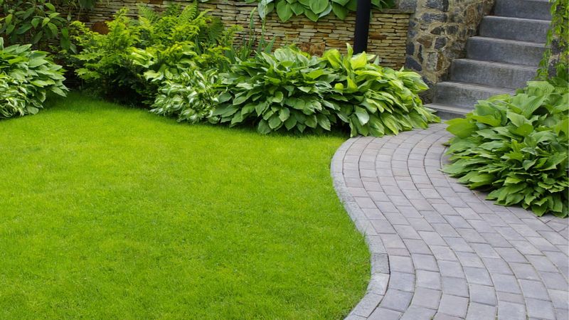 Help Soften Hardscape Near Entrances