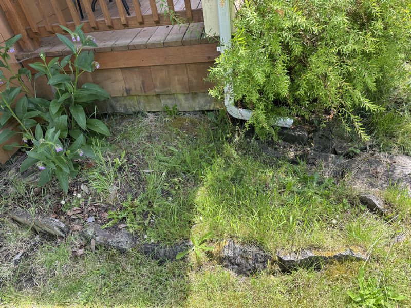 Adjust Sunlight Exposure