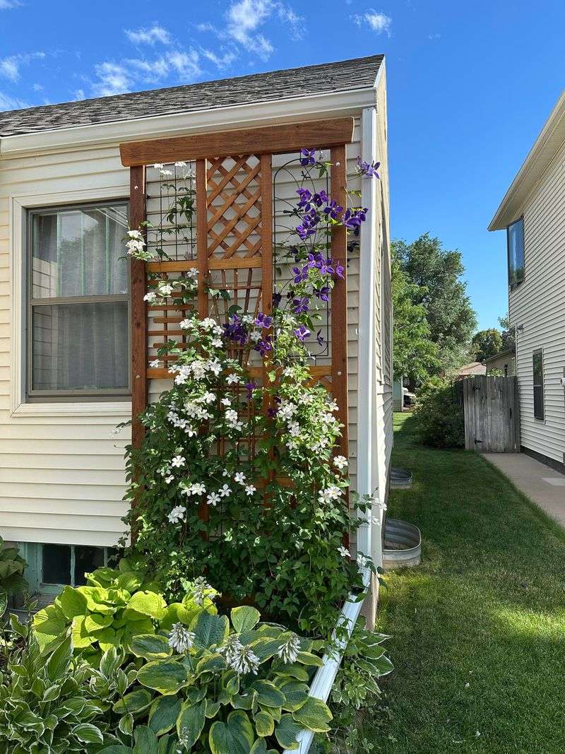 Maintain Your Trellis 
