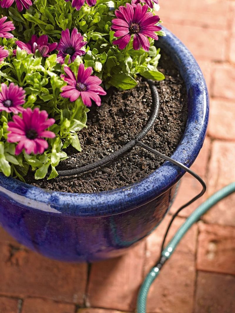 Check Irrigation Systems Ahead Of Rising Temperatures