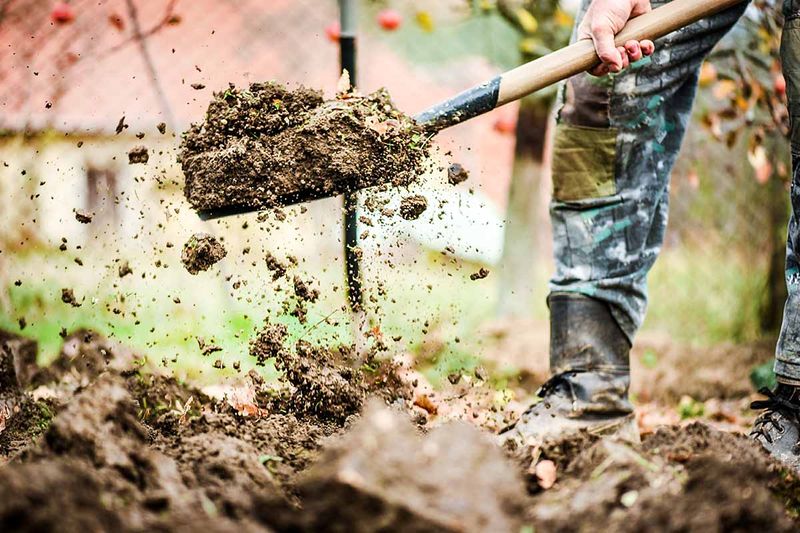 Prepare Garden Beds As Soil Thaws