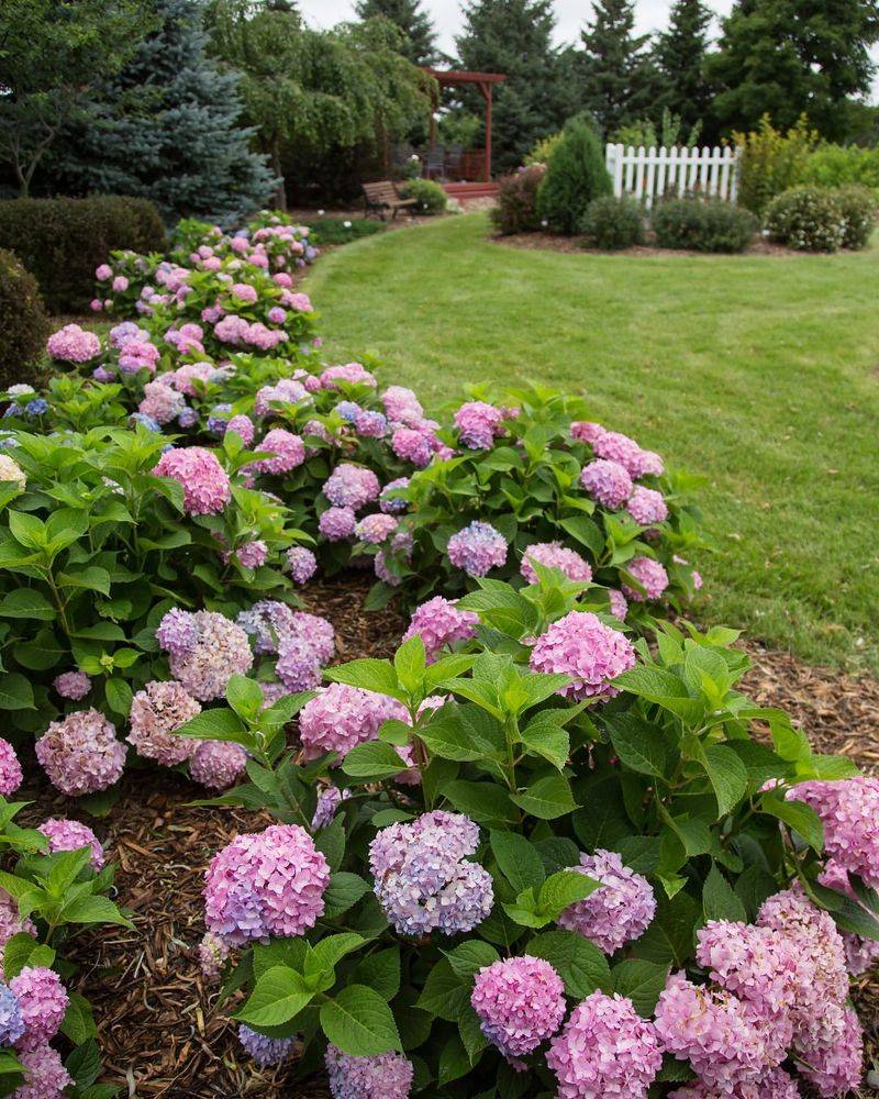 Feed Lightly In Spring Instead Of Overdoing Fertilizer