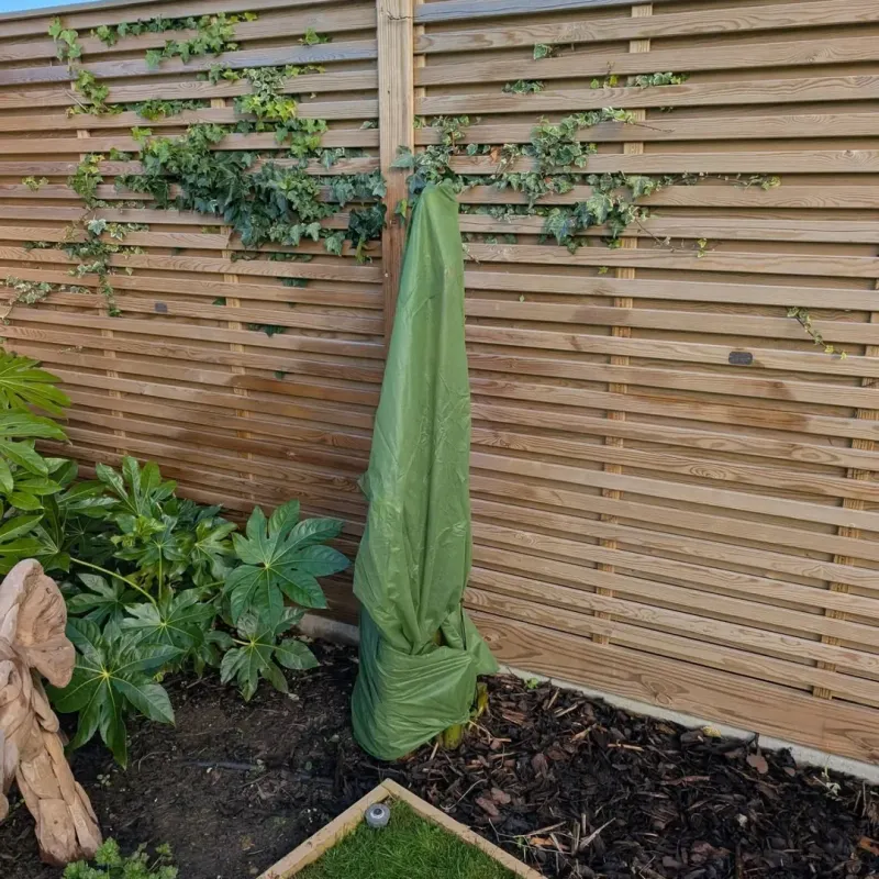 Use Tree Wrap On Young Flexible Trees