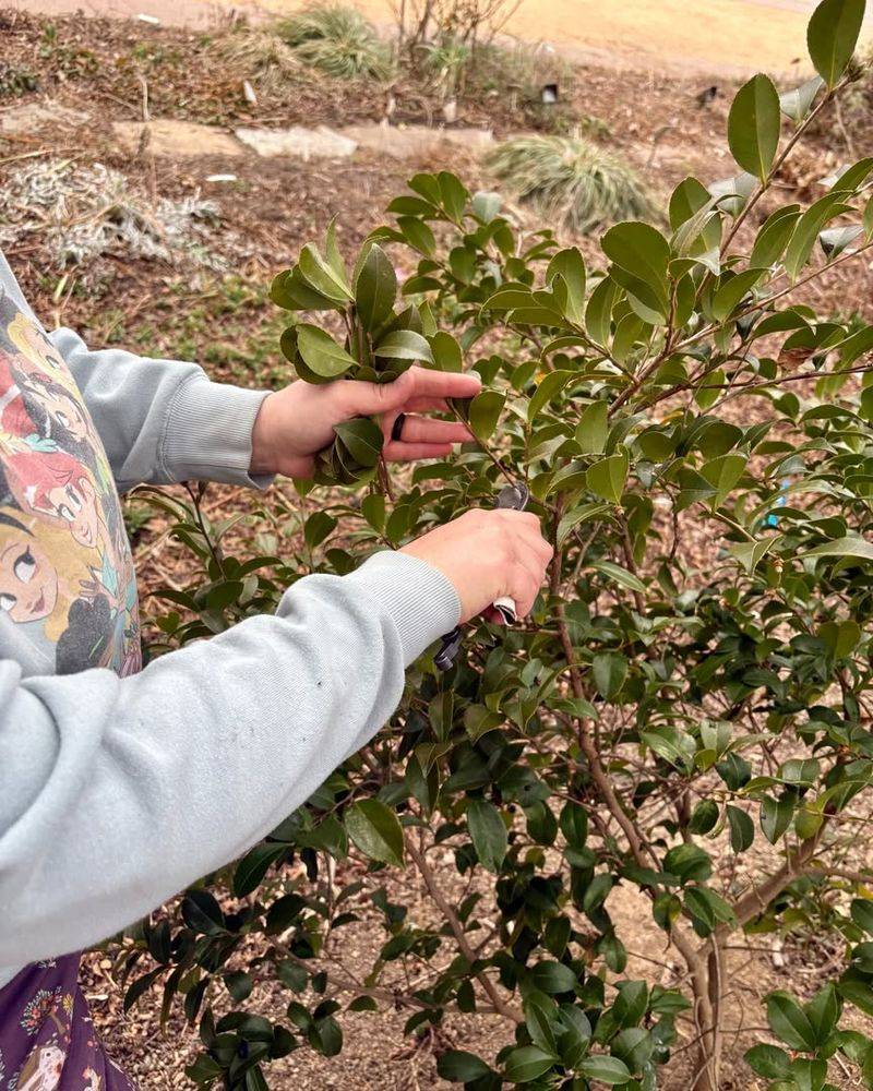 Georgia's Long Growing Season Changes Timing