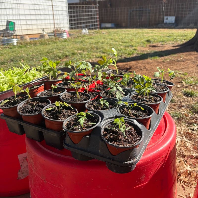 Wait On Warm‑Season Planting