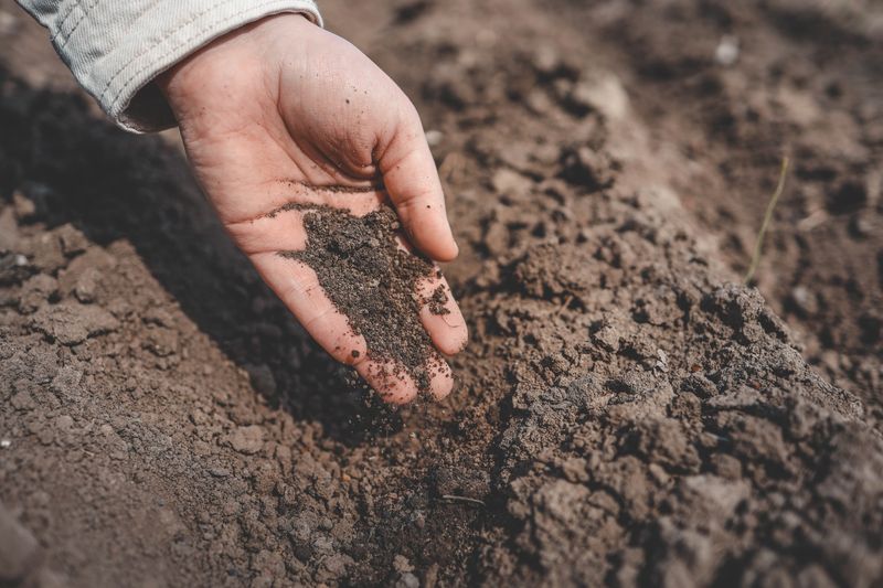 Sandy Soil Drains Faster Than Expected