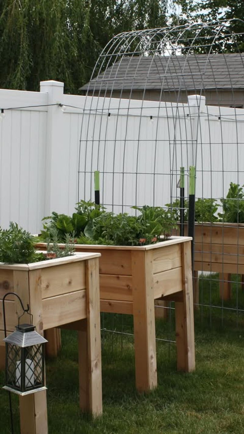 Orient Rows North To South For Even Sunlight Distribution