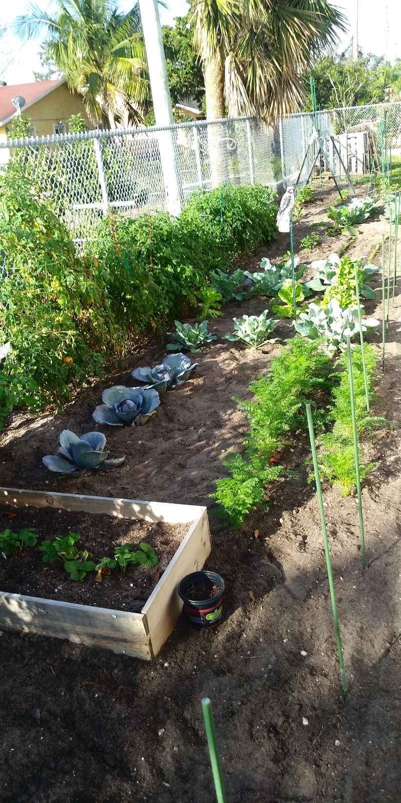 Track Soil Warming In Early Spring