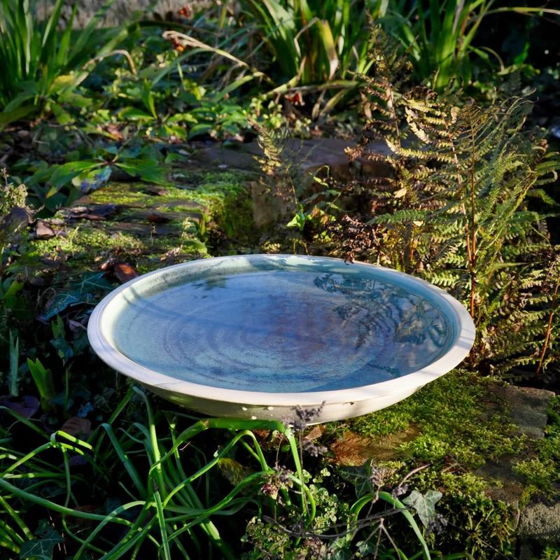 Container Water Spots Stay Fresh Longer