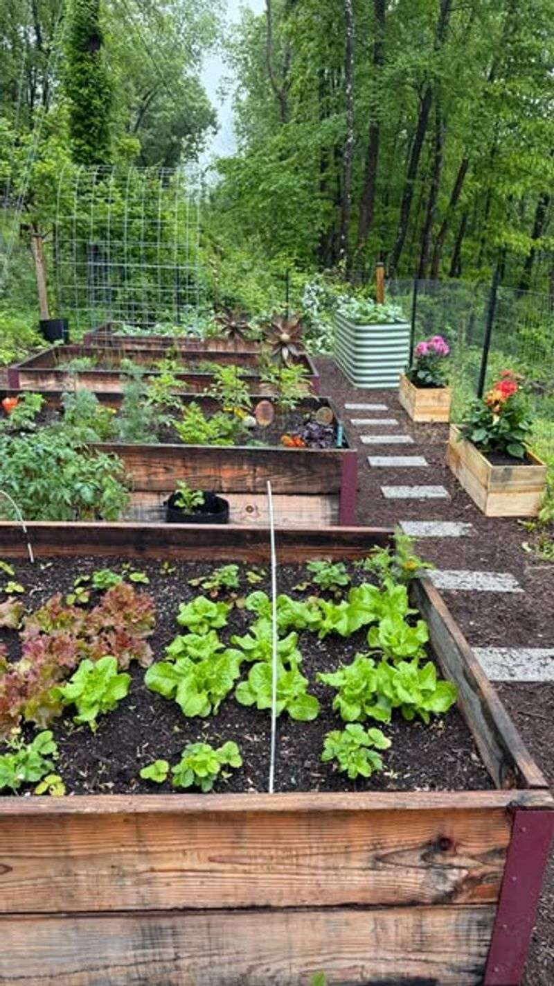 Use Raised Beds In Persistently Wet Sections