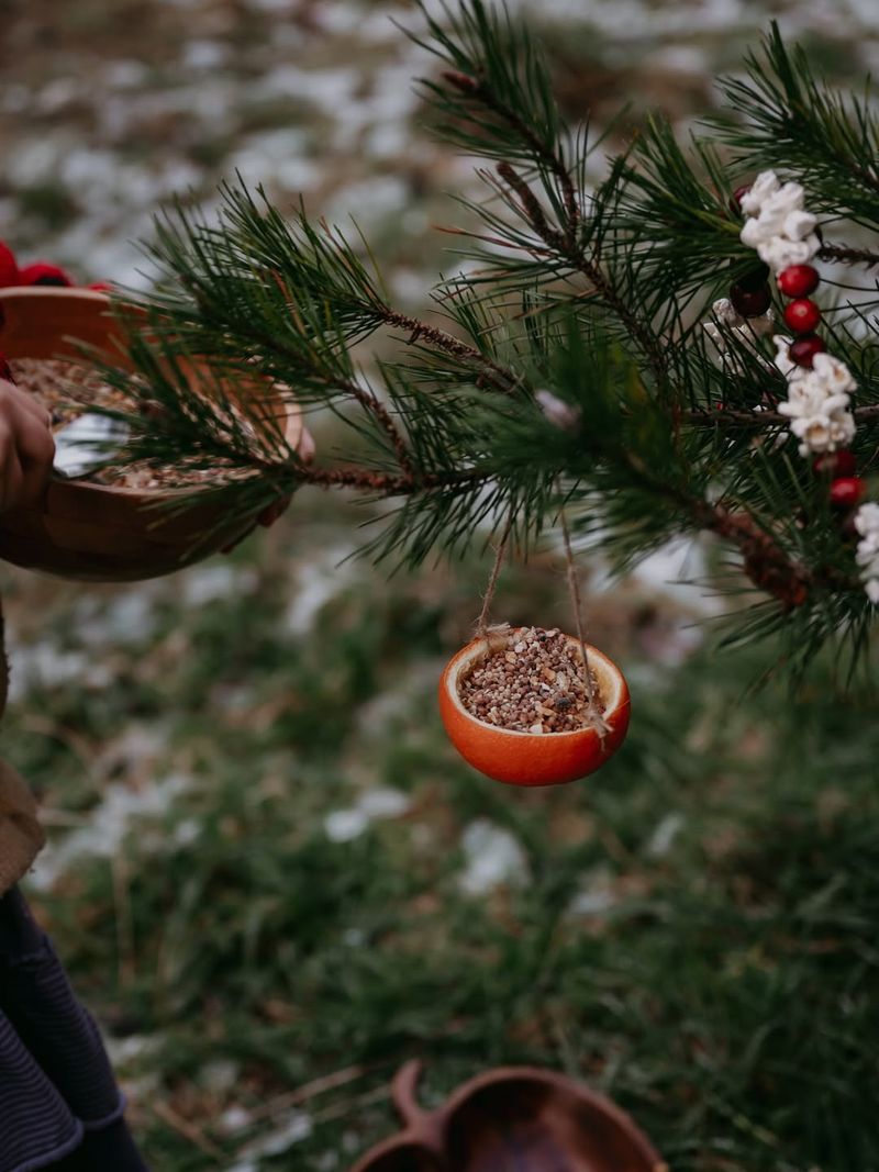 Avoid Wildlife Entanglement