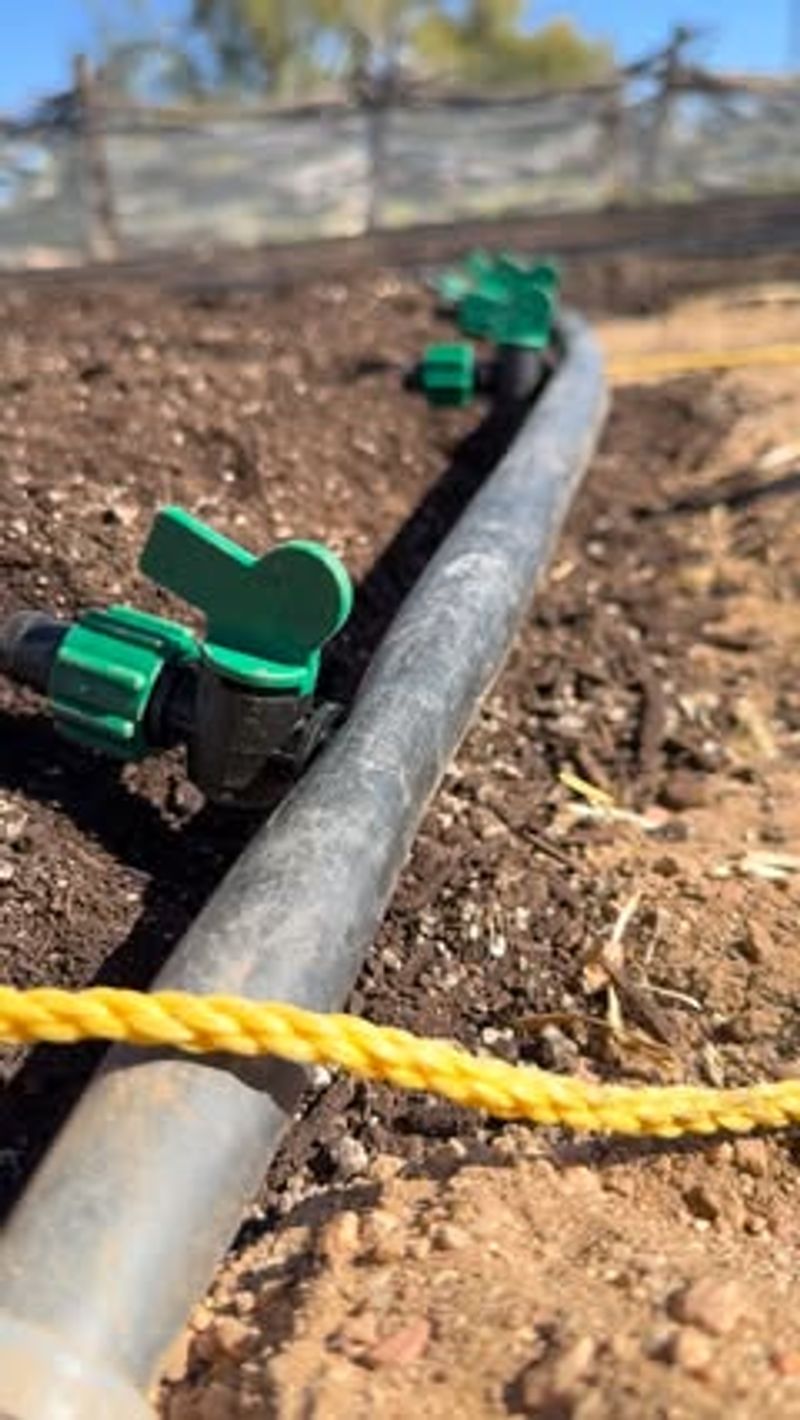 Use Smart Water Practices To Protect Plants And Resources