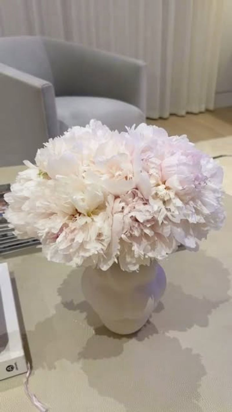 Add A Penny Or Aspirin To The Water