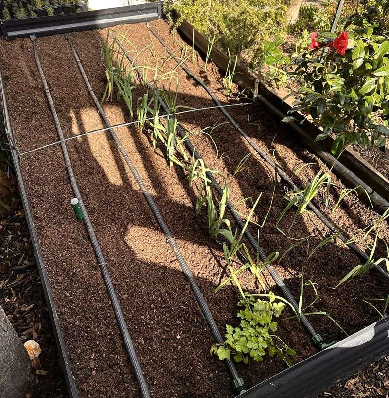 Soil Temperature Matters More Than Calendar Date