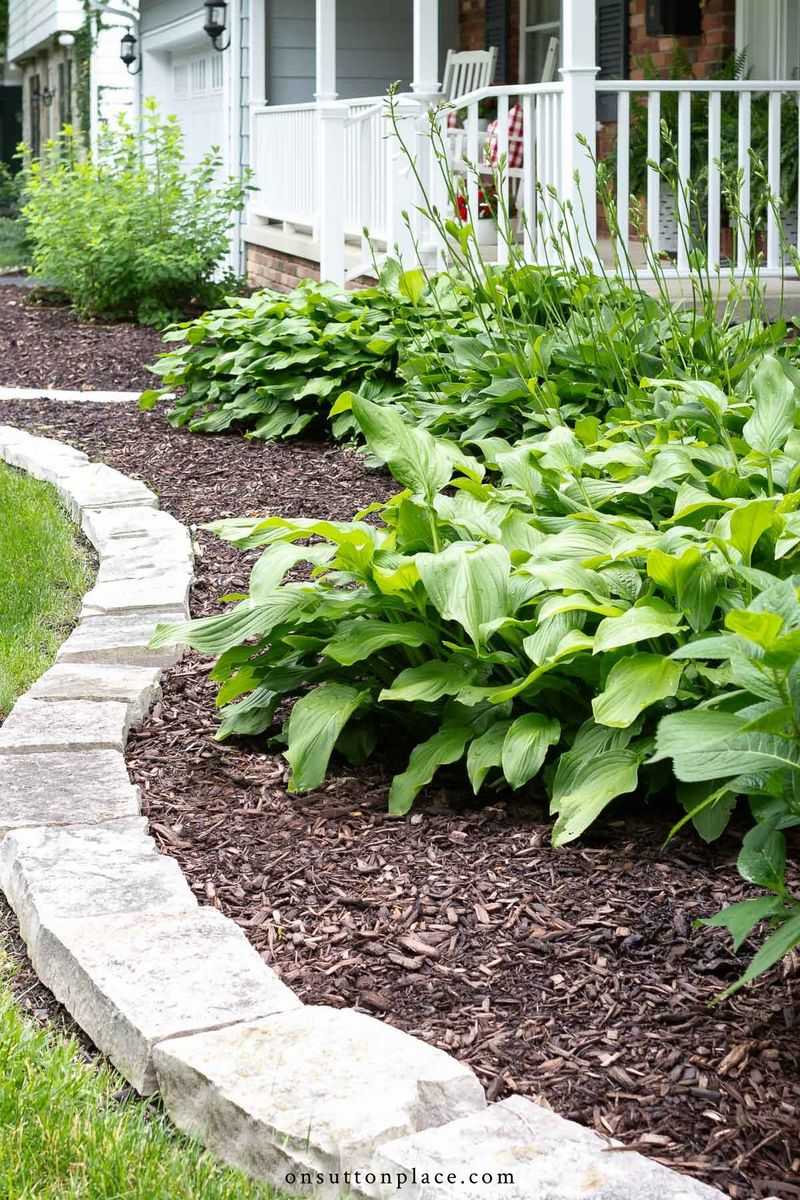 Mulch Helps Maintain Moisture And Root Stability