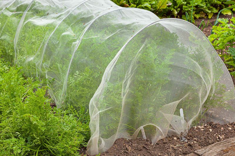 Protect Plants And Garden Beds