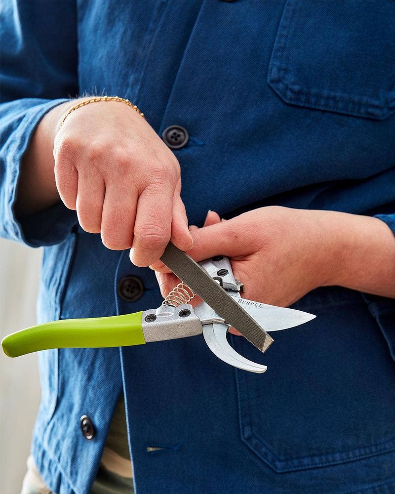 Use Clean, Sharp Pruning Tools