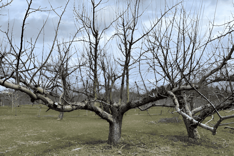 Open Up The Center For Better Air Circulation