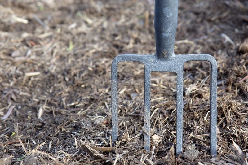 Mulch Can Reduce Digging Activity When Applied Properly