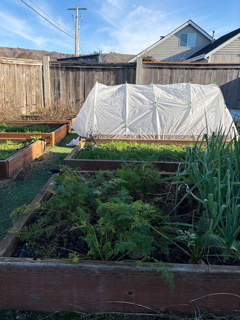 Leaving Frost Cloth On Too Long Can Cause Overheating And Moisture Issues