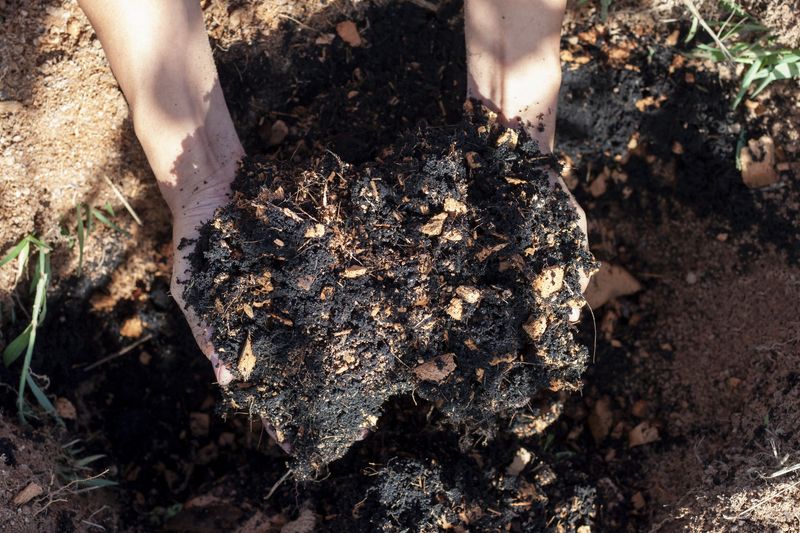 Ignoring Root And Soil Health After Cold Stress