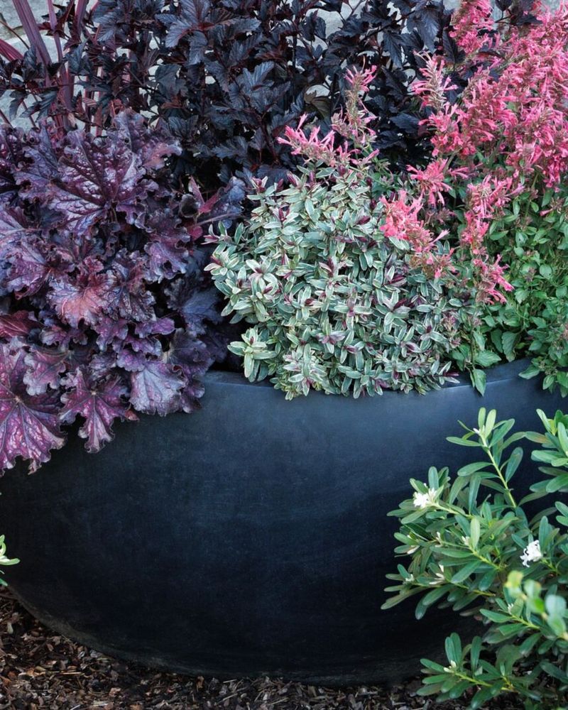 Use Foliage As The Foundation