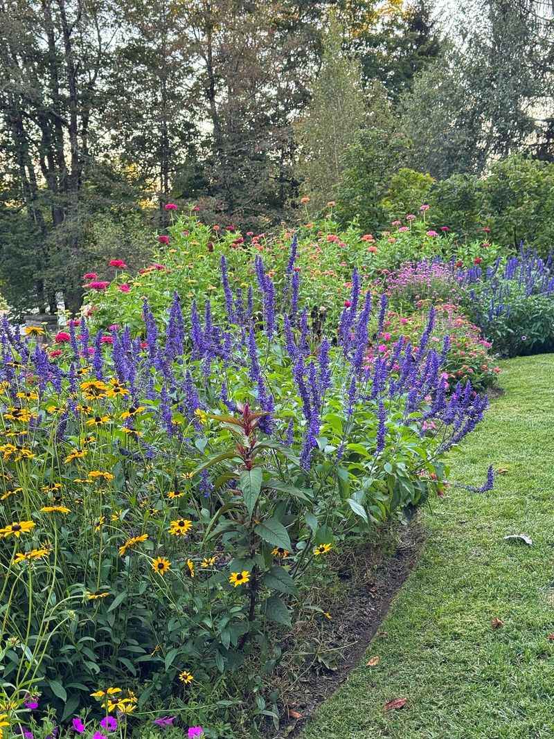 Choose Heat-Tolerant Combinations That Thrive In Georgia Summers