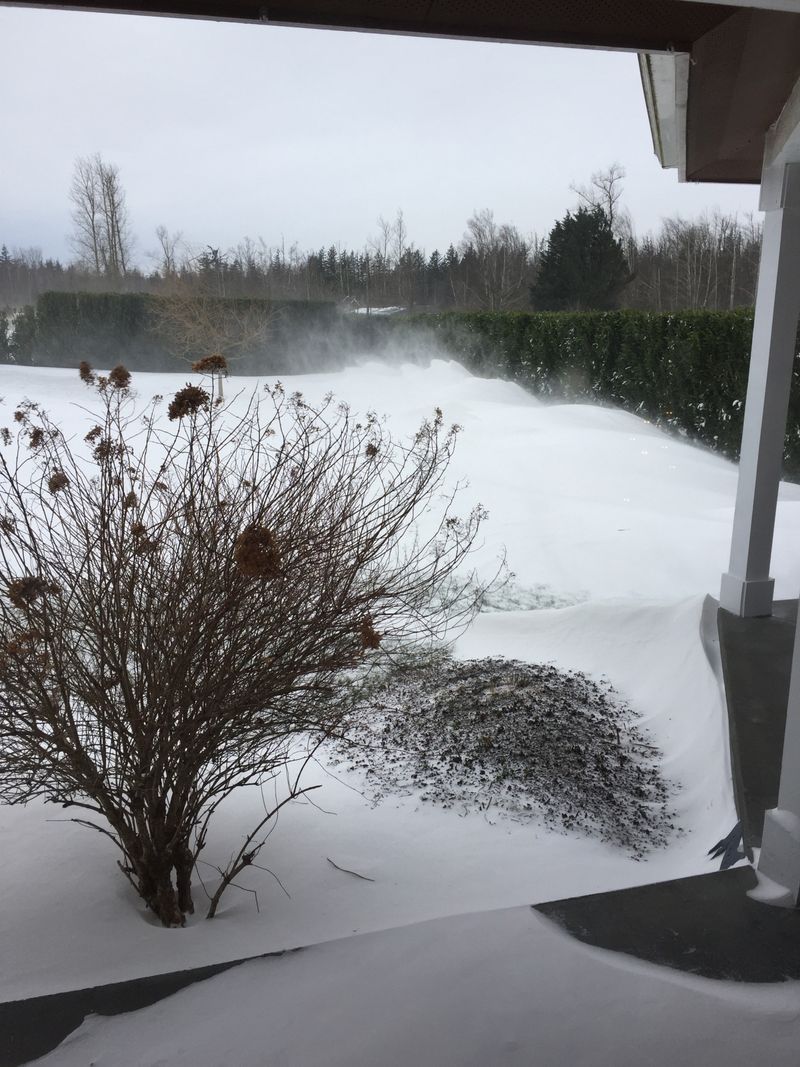 Waterlogged Soil During Thaw Can Stress Roots