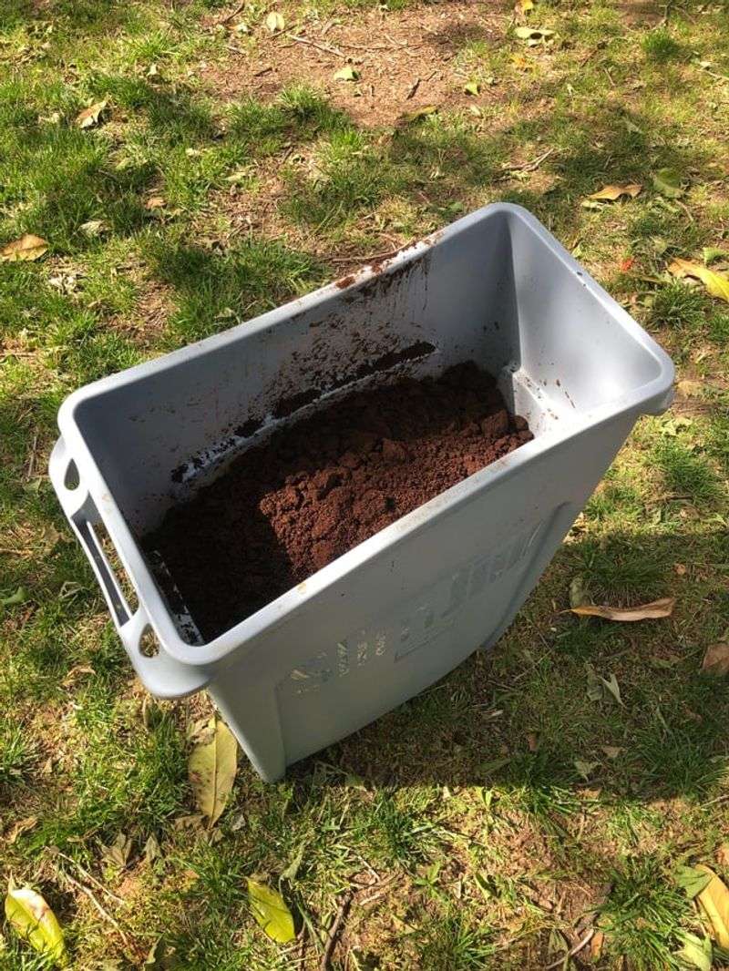 Avoid These Coffee-Ground Gardening Myths