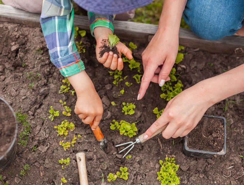 Regional Timing Matters Across North Carolina