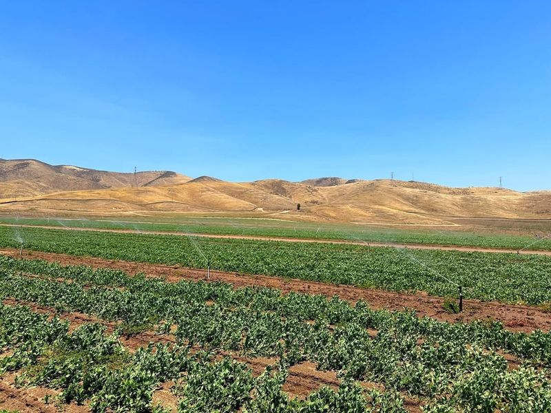 Smart Water Use In A Dry State