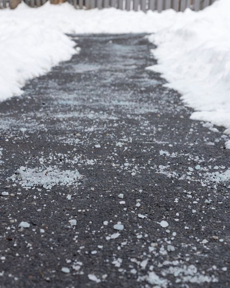 Salt Damage Along Driveways And Roads