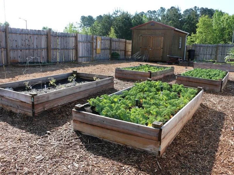 Garden Beds Can Be Prepared Without Rushing Later