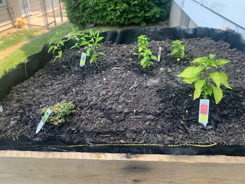 Compost Changes Everything